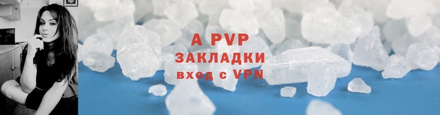 мяу мяу мука Михайловск