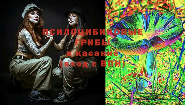 прущие крисы Михайловка