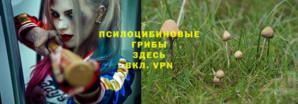 спиды Навашино