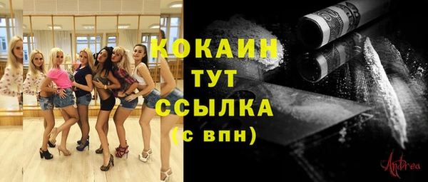 не бодяженный Михайлов
