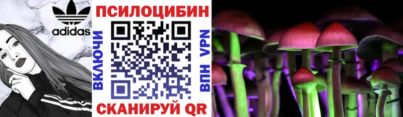продажа наркотиков  Талица  Псилоцибиновые грибы MAGIC MUSHROOMS 